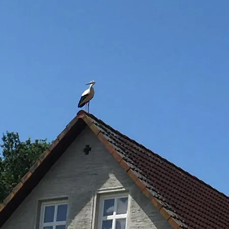 Apartament Gutshaus Zarnewanz Zewnętrze zdjęcie