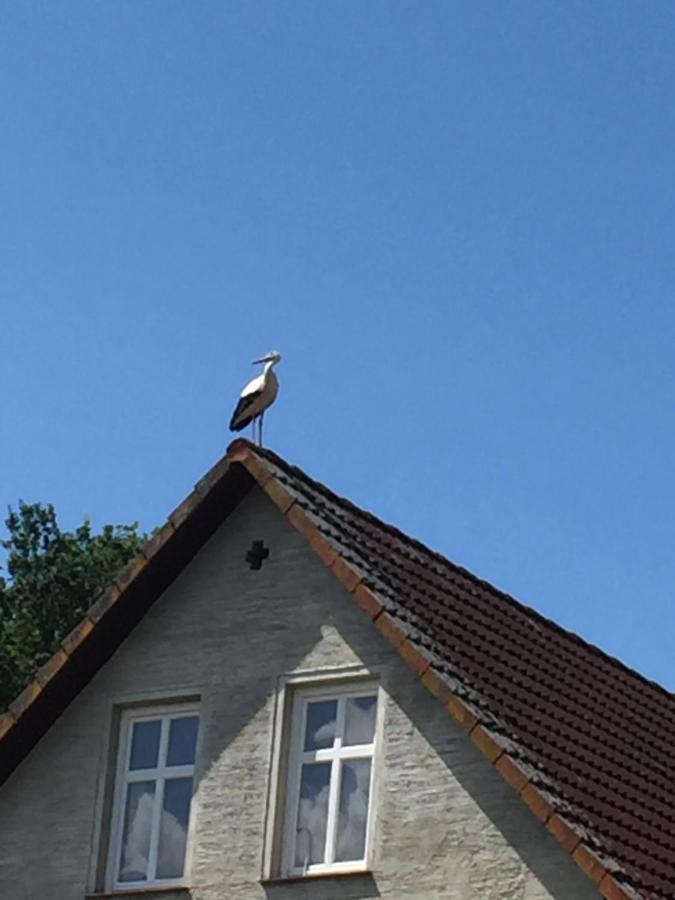 Gutshaus Zarnewanz